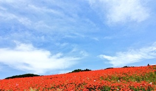414C91A8-5AA2-4378-8CF1-A78754D6C0CD.jpeg