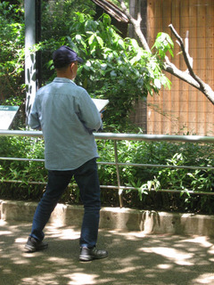 IMG_5532.jpg