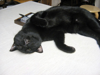 IMG_6477.jpg