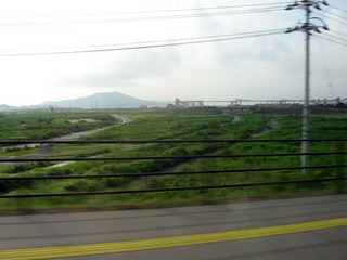 IMG_6729.jpg