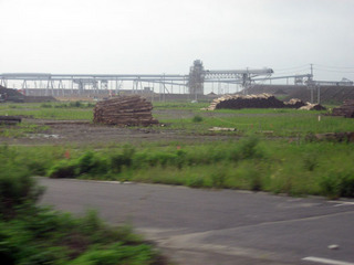 IMG_6730.jpg