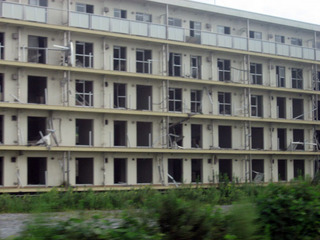 IMG_6732.jpg