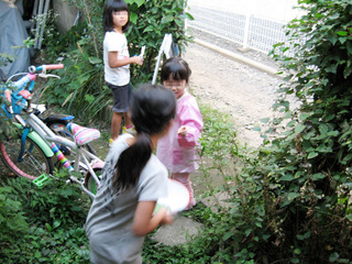 IMG_7017.jpg