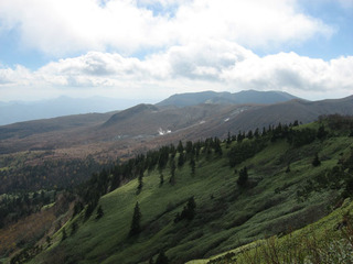 IMG_7053.jpg