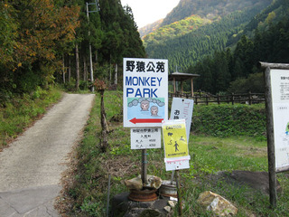 IMG_7055.jpg