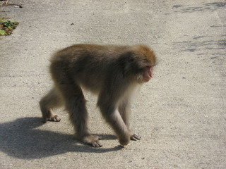 IMG_7060.jpg